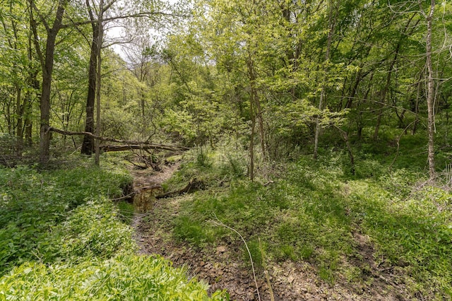 9420 Fabian St NE, Kalmar Twp, MN 55920 - view of tree filled area