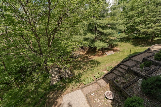 9420 Fabian St NE, Kalmar Twp, MN 55920 - view of yard featuring a forest view