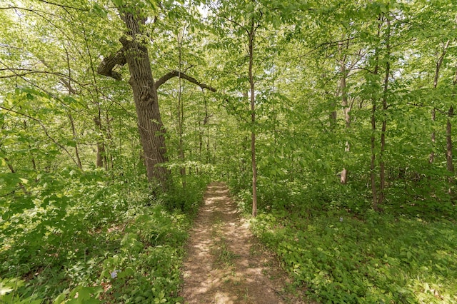 9420 Fabian St NE, Kalmar Twp, MN 55920 - view of tree filled area