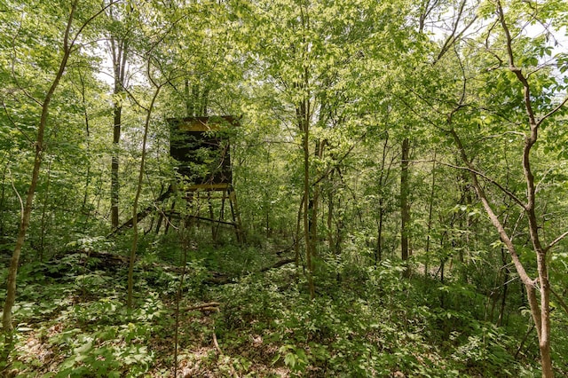9420 Fabian St NE, Kalmar Twp, MN 55920 - view of woods
