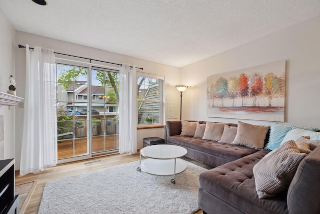 1925 Shenandoah Ct Unit G, Plymouth, MN 55447 - living area featuring wood finished floors and a textured ceiling