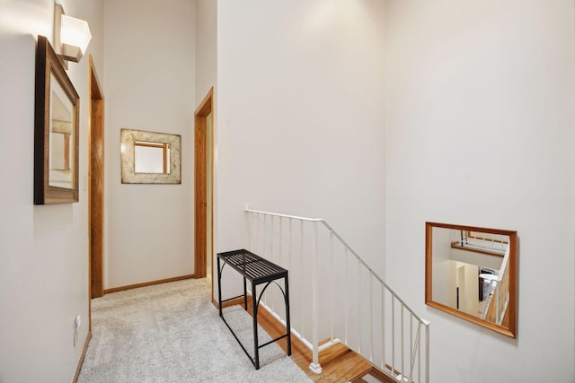1925 Shenandoah Ct Unit G, Plymouth, MN 55447 - hall with baseboards and a high ceiling