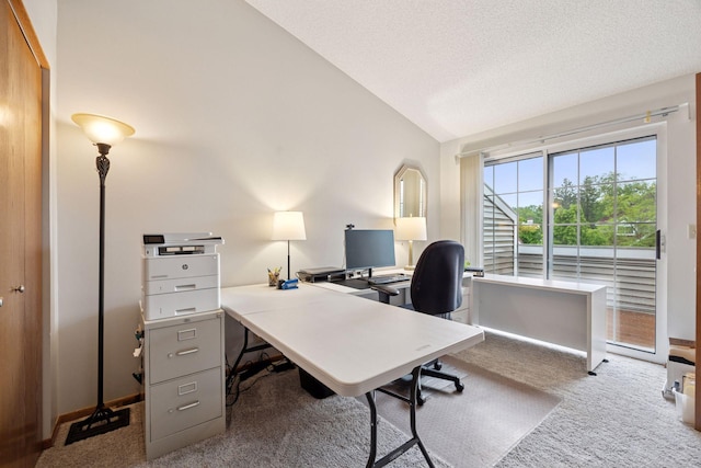 1925 Shenandoah Ct Unit G, Plymouth, MN 55447 - carpeted home office with lofted ceiling, a textured ceiling, and baseboards
