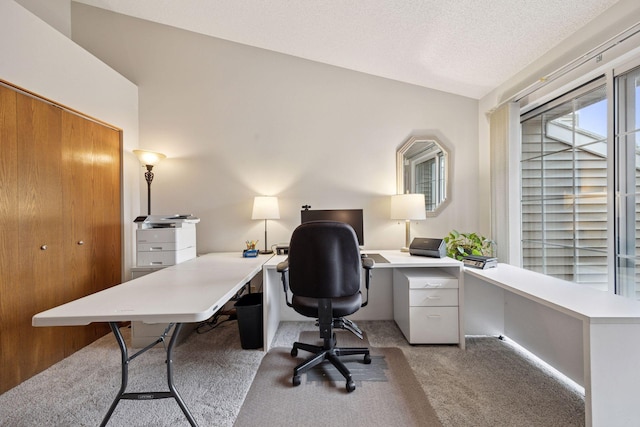 1925 Shenandoah Ct Unit G, Plymouth, MN 55447 - carpeted office space featuring a textured ceiling and lofted ceiling