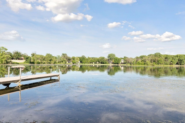 1925 Shenandoah Ct Unit G, Plymouth, MN 55447 - dock featuring a water view and a forest view