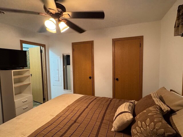 39872 Moose Ln, Wahkon, MN 56386 - bedroom with multiple closets and ceiling fan