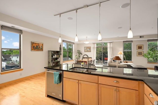 4500 Chicago Ave Unit 311, Minneapolis, MN 55407 - kitchen with dishwasher, a sink, light wood-style flooring, hanging light fixtures, and plenty of natural light