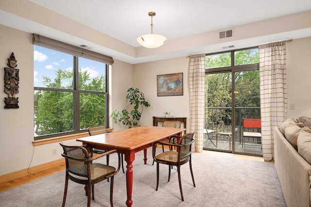 4500 Chicago Ave Unit 311, Minneapolis, MN 55407 - dining area with plenty of natural light, light wood finished floors, and baseboards