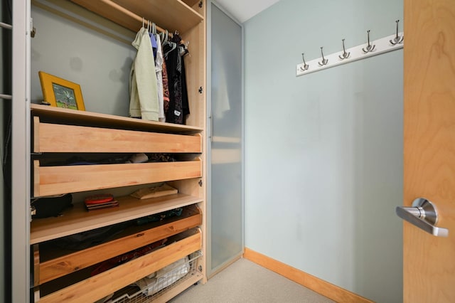 4500 Chicago Ave Unit 311, Minneapolis, MN 55407 - view of walk in closet