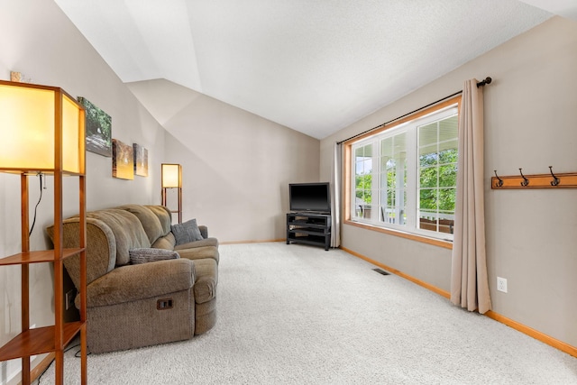 714 Rucks Farm Rd, Delano, MN 55328 - photo 11