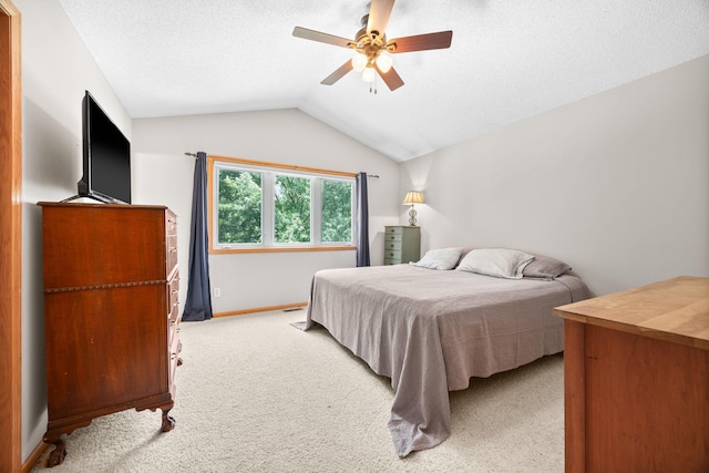 714 Rucks Farm Rd, Delano, MN 55328 - photo 24