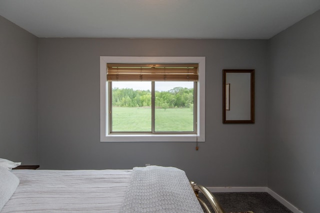 7903 Long Lake Bay Rd, Brainerd, MN 56401 - bedroom featuring baseboards and carpet floors