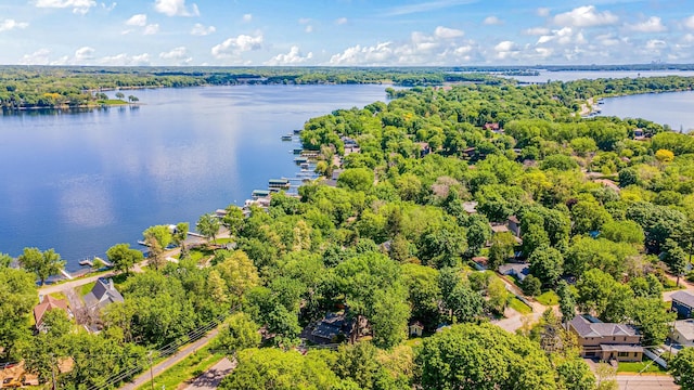 2195 Bayview Pl, Orono, MN 55391 - bird's eye view of a large body of water