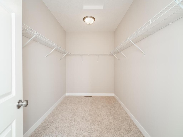 967 206th Ave NW, Oak Grove, MN 55011 - walk in closet with carpet