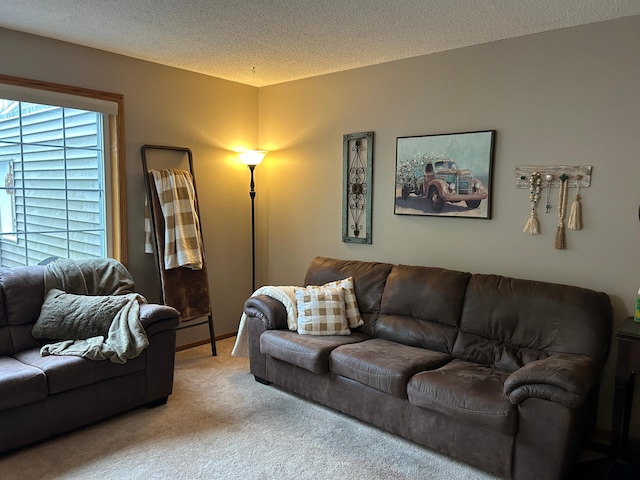 10946 Johnson St NE, Blaine, MN 55434 - carpeted living area with a textured ceiling