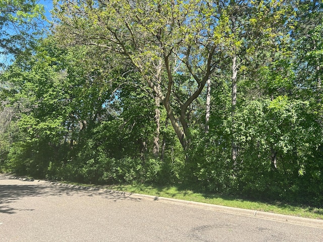 10946 Johnson St NE, Blaine, MN 55434 - view of asphalt road with curbs