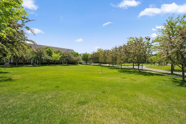 2658 133rd St W, Rosemount, MN 55068 - view of green lawn