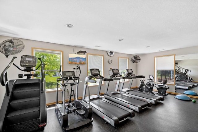 2658 133rd St W, Rosemount, MN 55068 - workout area with baseboards