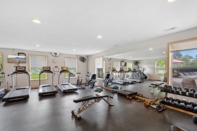 2658 133rd St W, Rosemount, MN 55068 - gym with plenty of natural light and recessed lighting