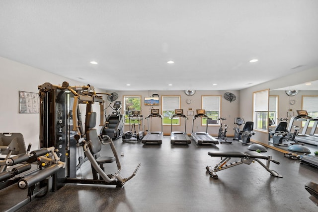2658 133rd St W, Rosemount, MN 55068 - gym featuring plenty of natural light and recessed lighting