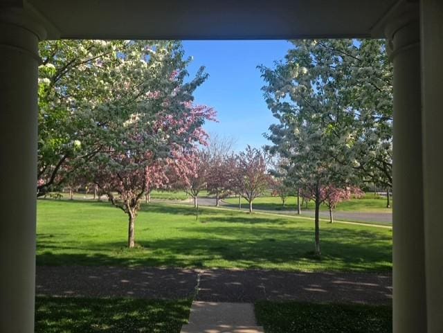 2658 133rd St W, Rosemount, MN 55068 - view of property's community featuring a yard