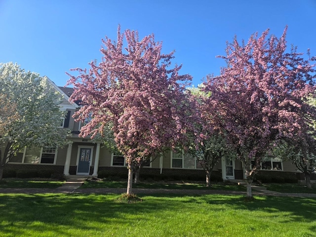 2658 133rd St W, Rosemount, MN 55068 - obstructed view of property featuring a front lawn