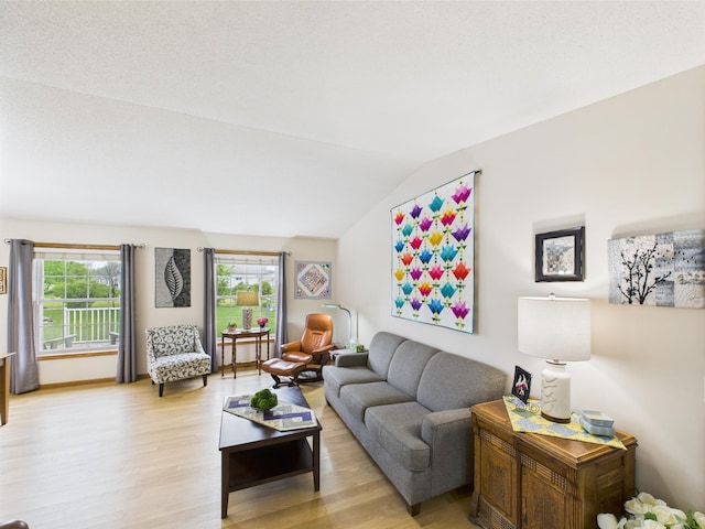 625 7th St NW, Richmond, MN 56368 - living area featuring light wood-type flooring and vaulted ceiling