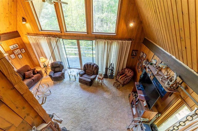 3240 Breezy Point Rd, Tower, MN 55790 - carpeted living area featuring wooden walls, healthy amount of natural light, and a high ceiling
