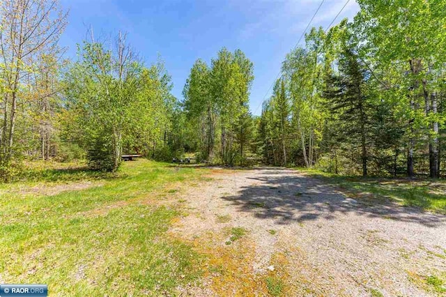 3240 Breezy Point Rd, Tower, MN 55790 - view of road with a wooded view