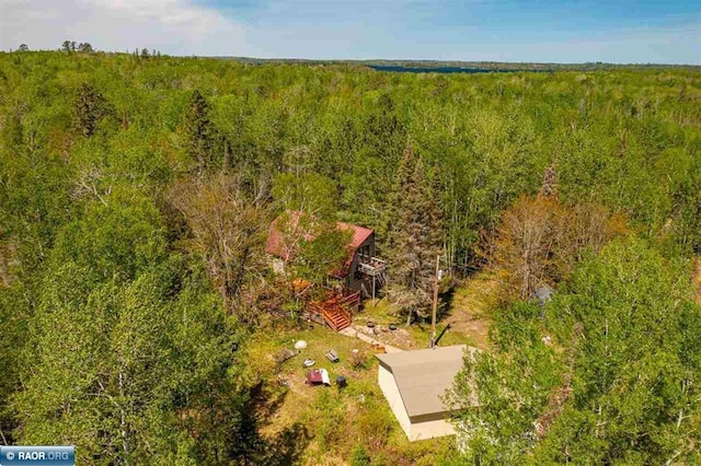 3240 Breezy Point Rd, Tower, MN 55790 - view of subject property featuring a forest