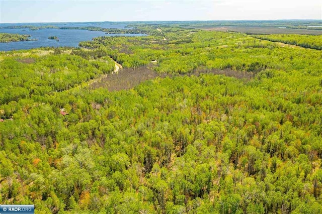 3240 Breezy Point Rd, Tower, MN 55790 - bird's eye view of a heavily wooded area