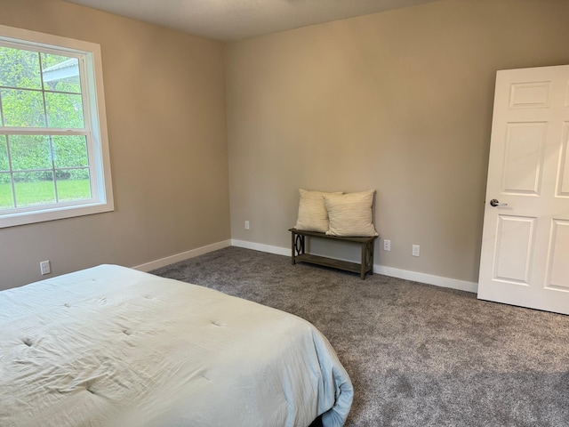 105 7th St, Hoffman, MN 56339 - bedroom with carpet flooring and baseboards