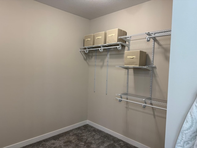 105 7th St, Hoffman, MN 56339 - walk in closet with dark carpet
