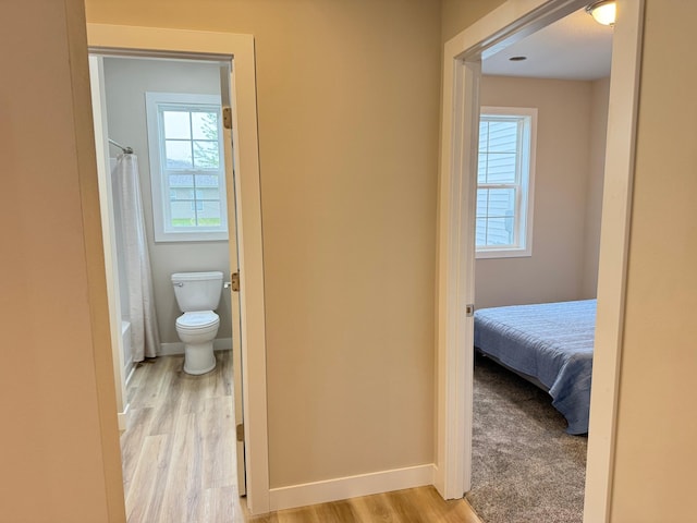 105 7th St, Hoffman, MN 56339 - bathroom with healthy amount of natural light, wood finished floors, toilet, and baseboards