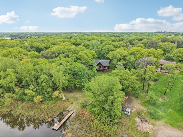 28308 125th St NW, Baldwin Twp, MN 55398 - photo 4