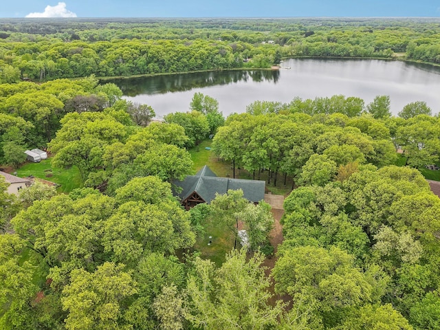 28308 125th St NW, Baldwin Twp, MN 55398 - photo 77
