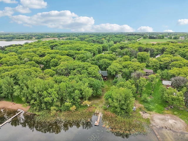 28308 125th St NW, Baldwin Twp, MN 55398 - photo 91