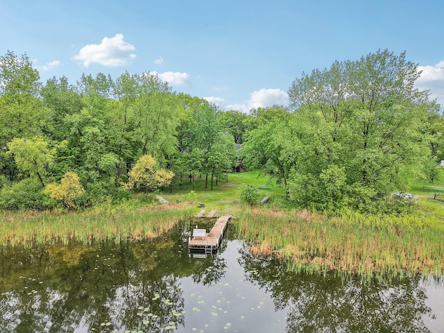 28308 125th St NW, Baldwin Twp, MN 55398 - photo 92