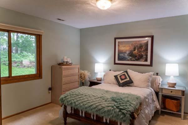 9826 Brighton Ln, Eden Prairie, MN 55347 - bedroom with light carpet and baseboards