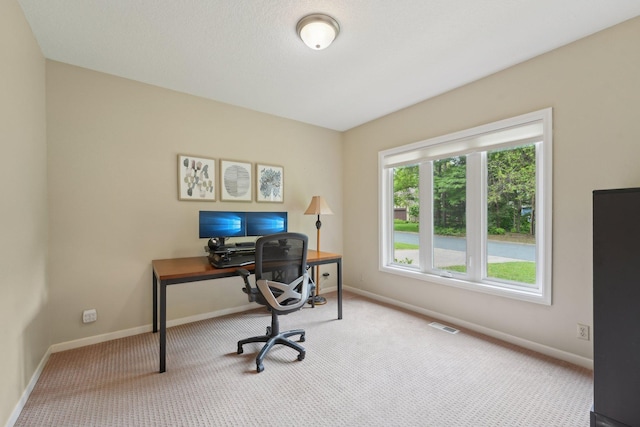 669 Lake Pine Dr, Shoreview, MN 55126 - office space with carpet flooring and baseboards