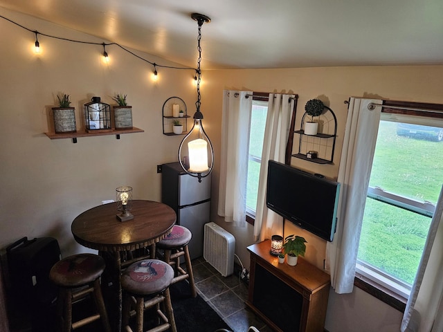 205 2nd Ave W, Lamberton, MN 56152 - dining room with radiator heating unit and healthy amount of natural light