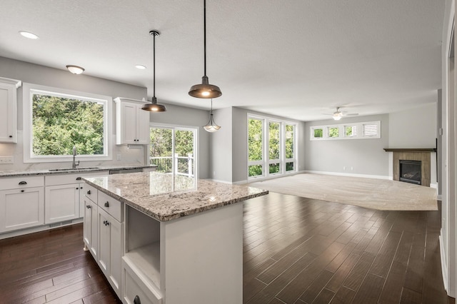 1206 Rosemary Ln, Chaska, MN 55318 - kitchen featuring a sink, open floor plan, a ceiling fan, white cabinetry, and recessed lighting