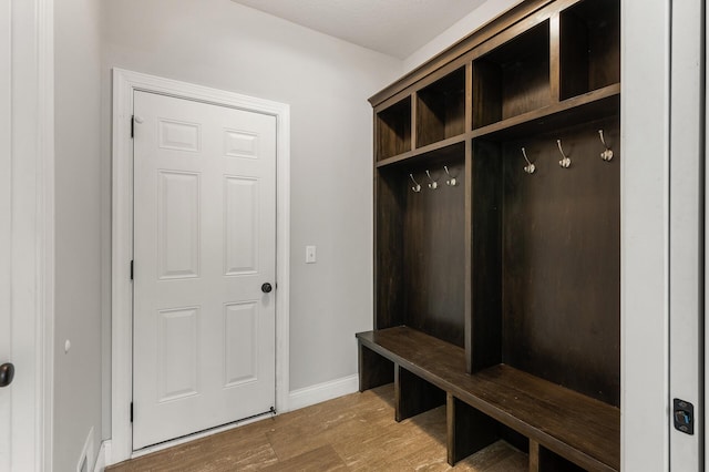 1206 Rosemary Ln, Chaska, MN 55318 - mudroom featuring light wood finished floors, baseboards, and a sauna / steam room
