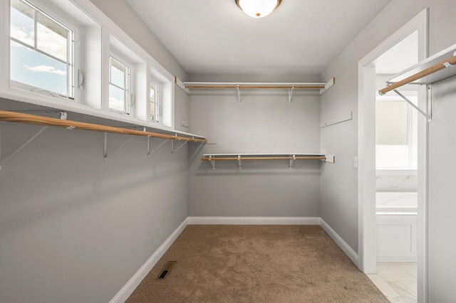 1206 Rosemary Ln, Chaska, MN 55318 - spacious closet with light carpet