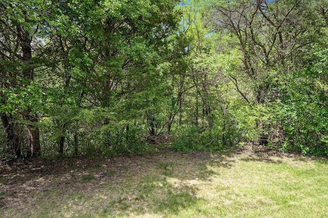 1206 Rosemary Ln, Chaska, MN 55318 - view of wooded area