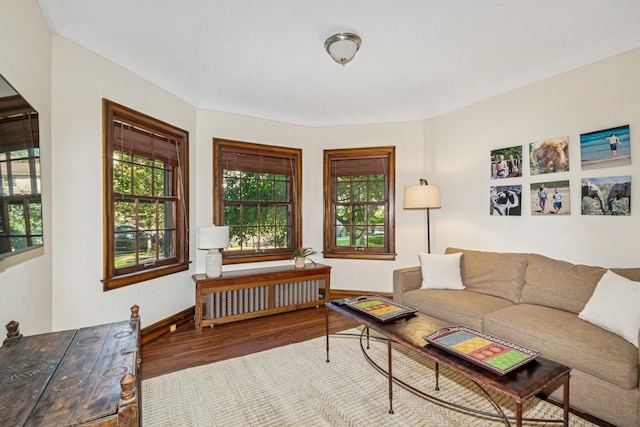 5319 Upton Ave S, Minneapolis, MN 55410 - living area featuring radiator and wood finished floors