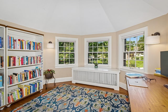 5319 Upton Ave S, Minneapolis, MN 55410 - living area with radiator, vaulted ceiling, and wood finished floors