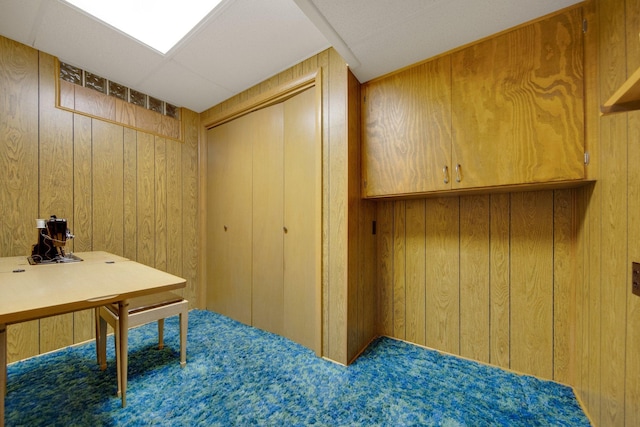 2168 Southwood Dr, White Bear Lake, MN 55110 - office space featuring wooden walls and carpet