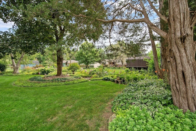 2168 Southwood Dr, White Bear Lake, MN 55110 - view of green lawn