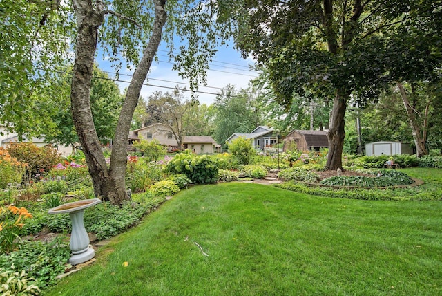 2168 Southwood Dr, White Bear Lake, MN 55110 - view of green lawn featuring a storage shed